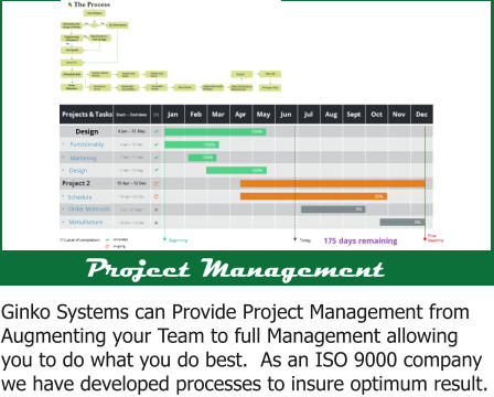 Design Functionality Marketing Design Schedule Order Materials Manufacture Project Management Ginko Systems can Provide Project Management from Augmenting your Team to full Management allowing you to do what you do best.  As an ISO 9000 company we have developed processes to insure optimum result.